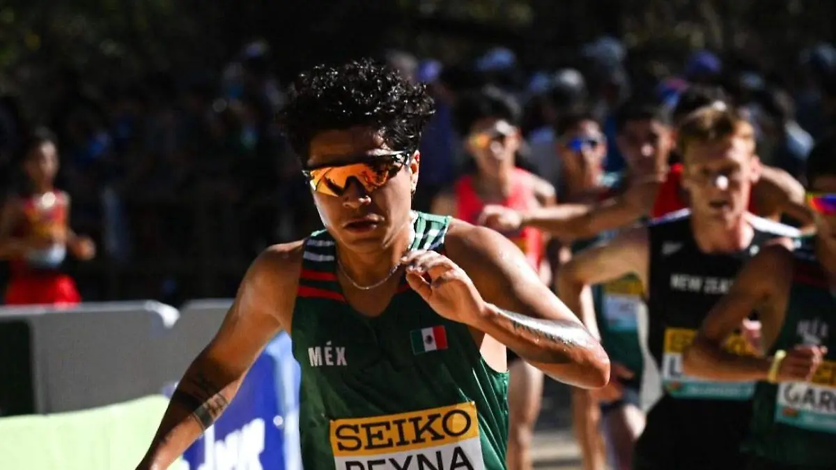 WhatsApp Image 2026-01-13 at 13.19.51