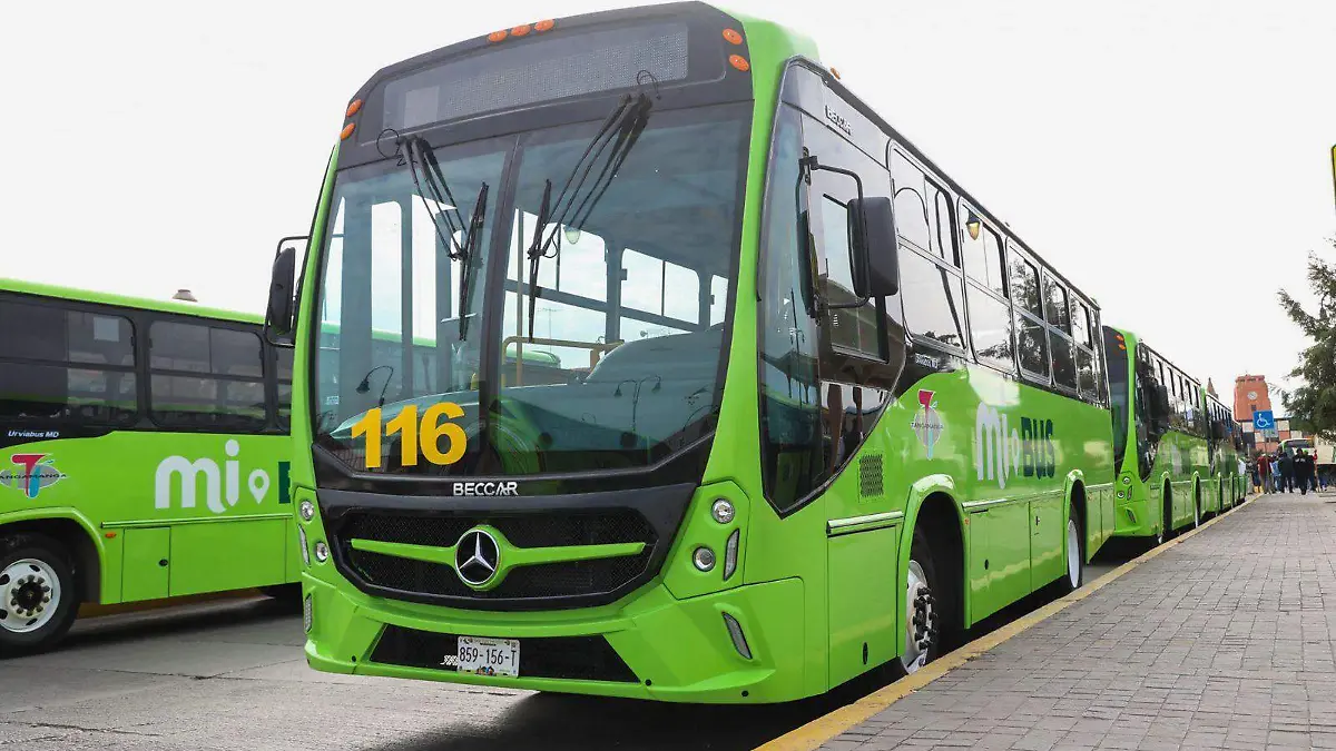 WhatsApp Image 2026-01-15 at 11.01.42