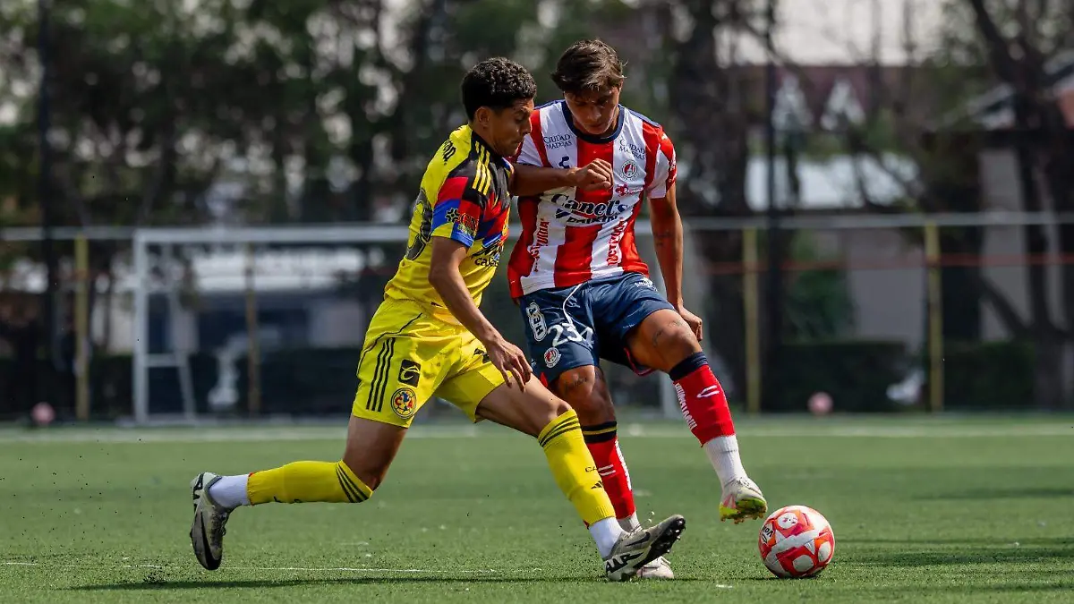 WhatsApp Image 2026-01-15 at 12.21.03