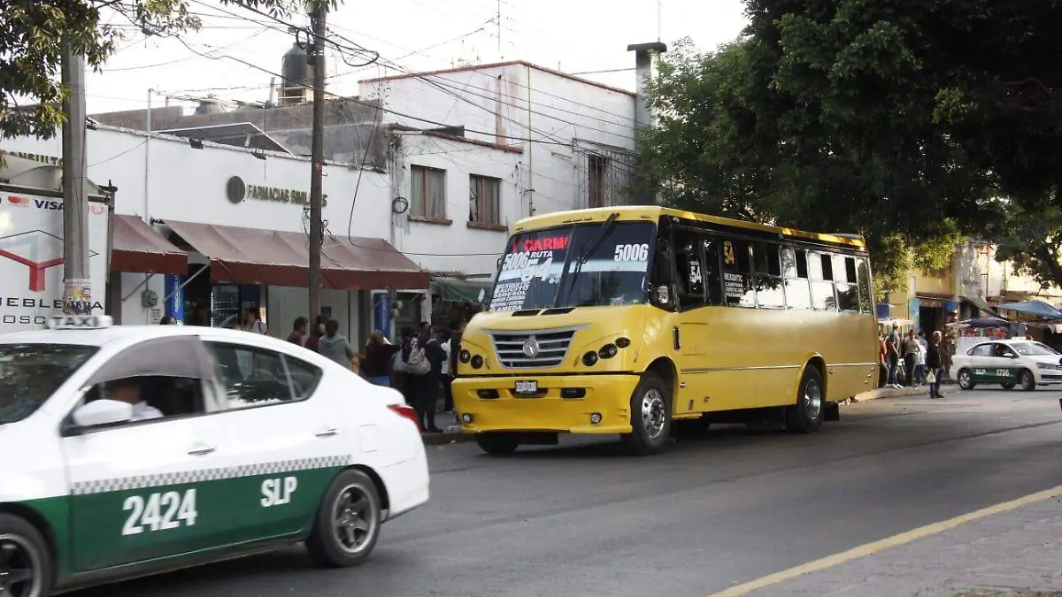 WhatsApp Image 2026-01-15 at 15.25.38