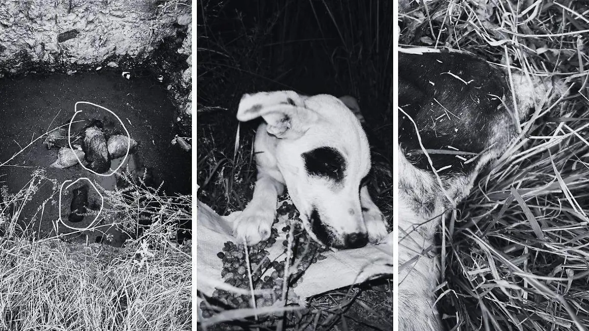 WhatsApp Image 2026-01-16 at 14.20.41