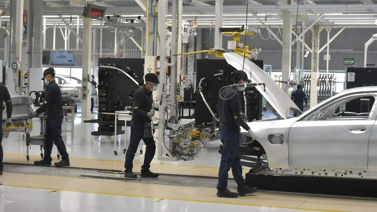 WhatsApp Image 2026-01-17 at 15.47.56