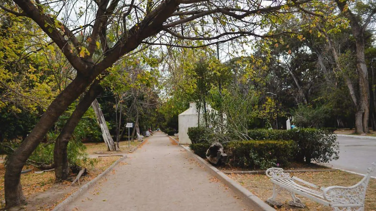 Rehabilitación en parque Morales