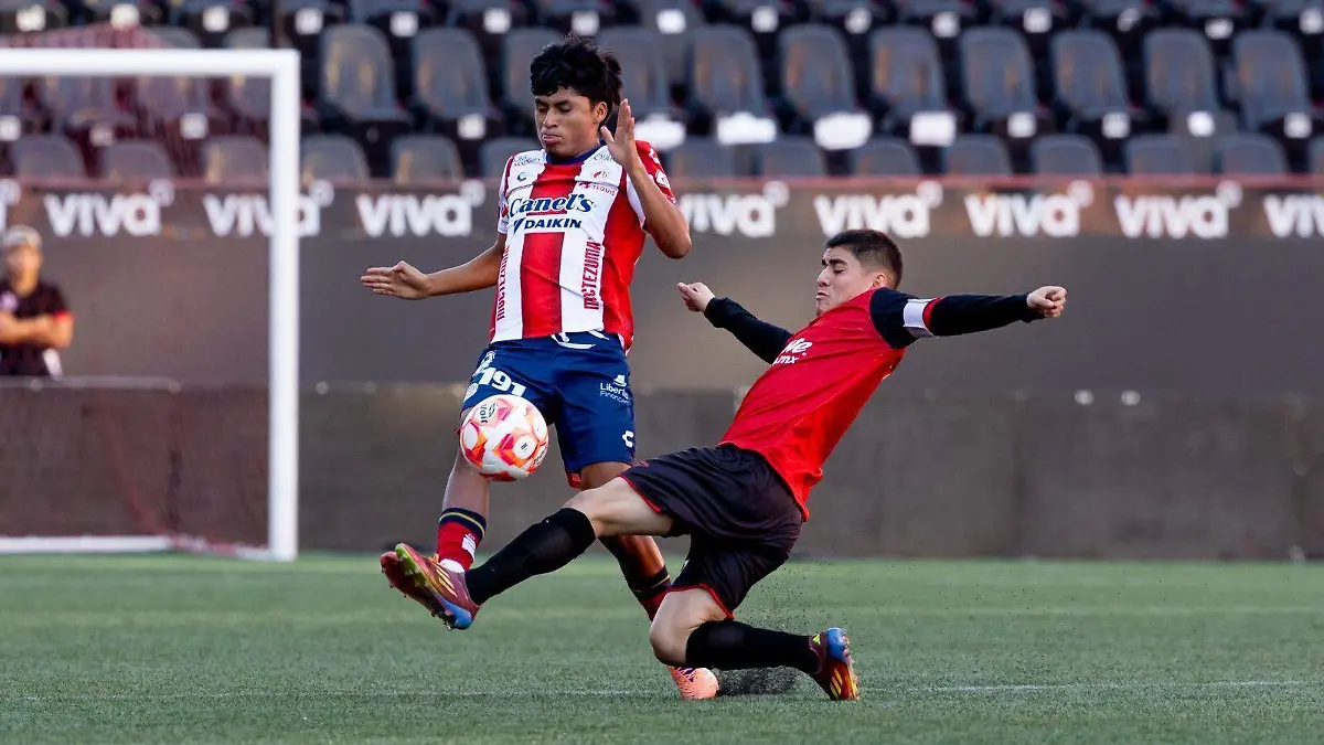 WhatsApp Image 2026-01-18 at 11.50.24 AM