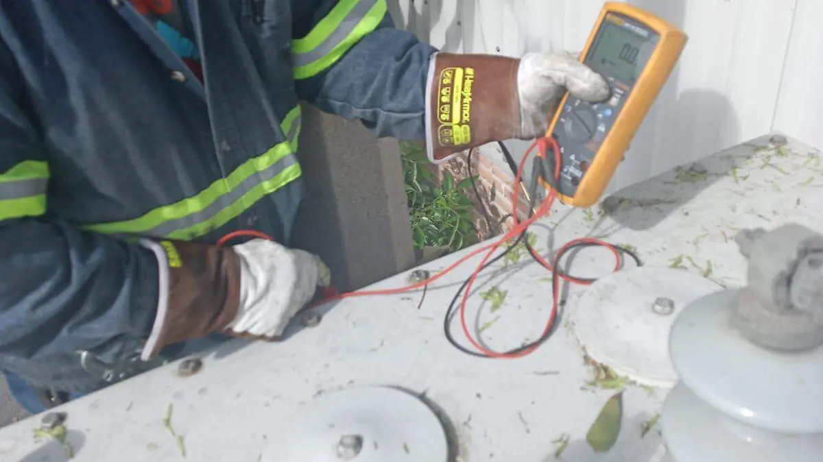 WhatsApp Image 2026-01-18 at 1.31.23 PM