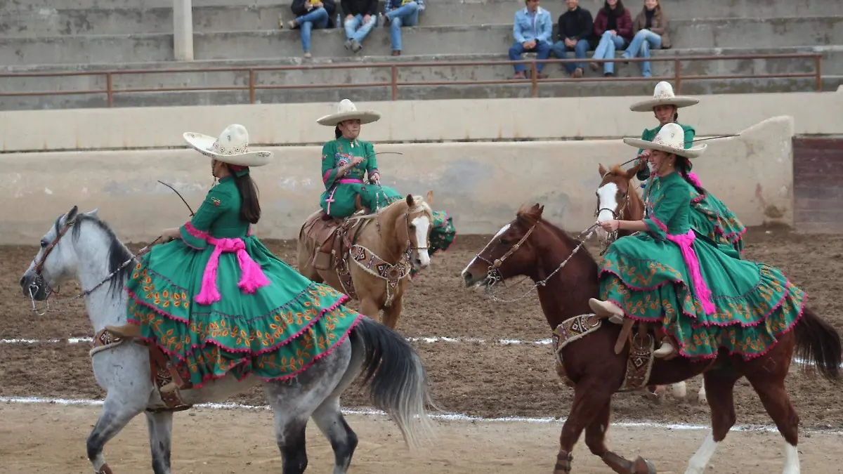 WhatsApp Image 2026-01-19 at 11.27.56