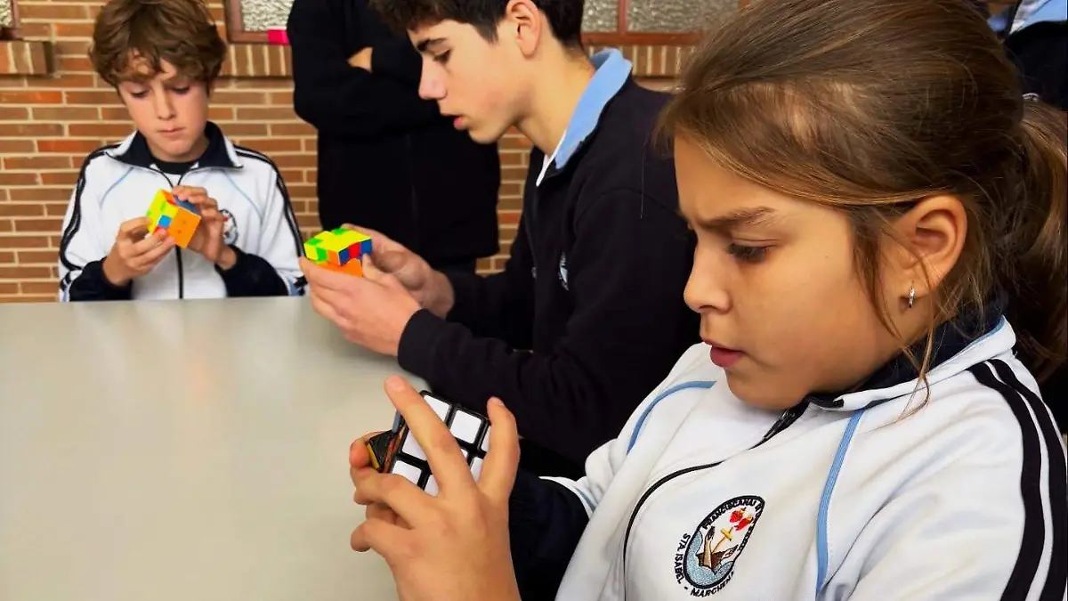 WhatsApp Image 2026-01-19 at 12.04.23