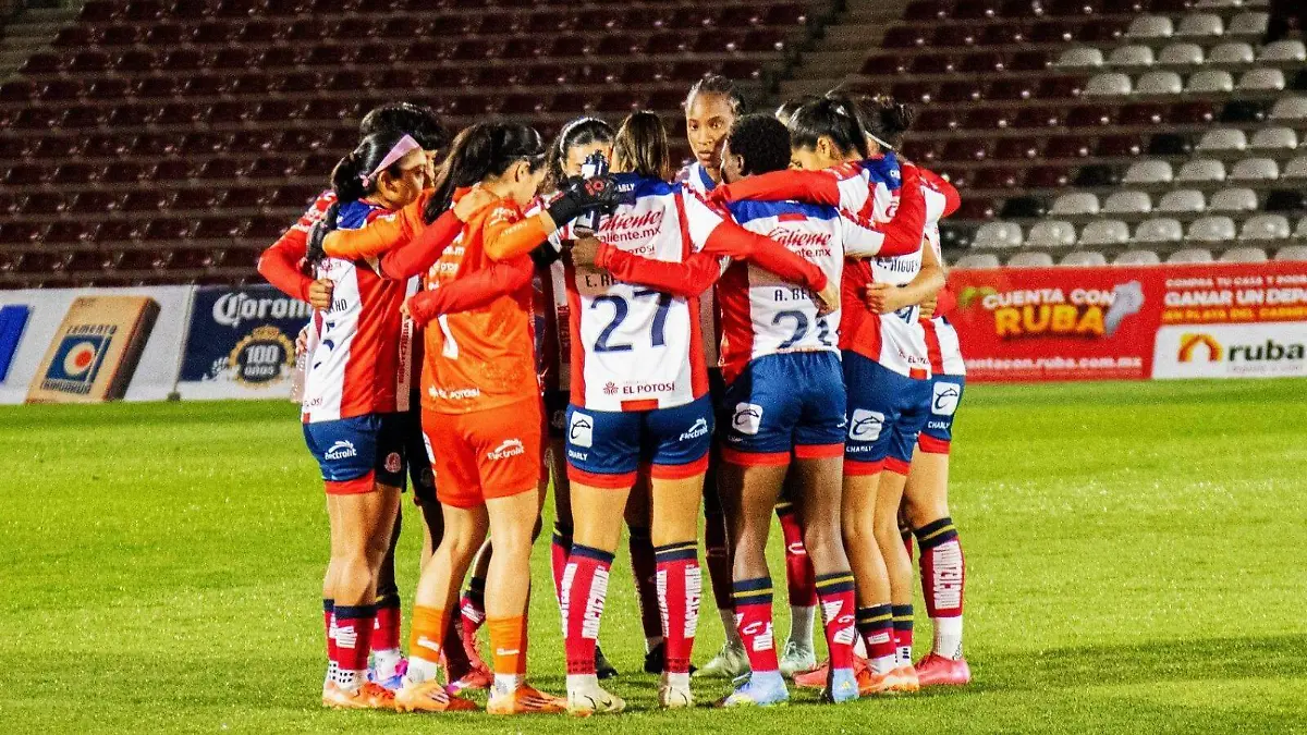 WhatsApp Image 2026-01-19 at 13.24.44