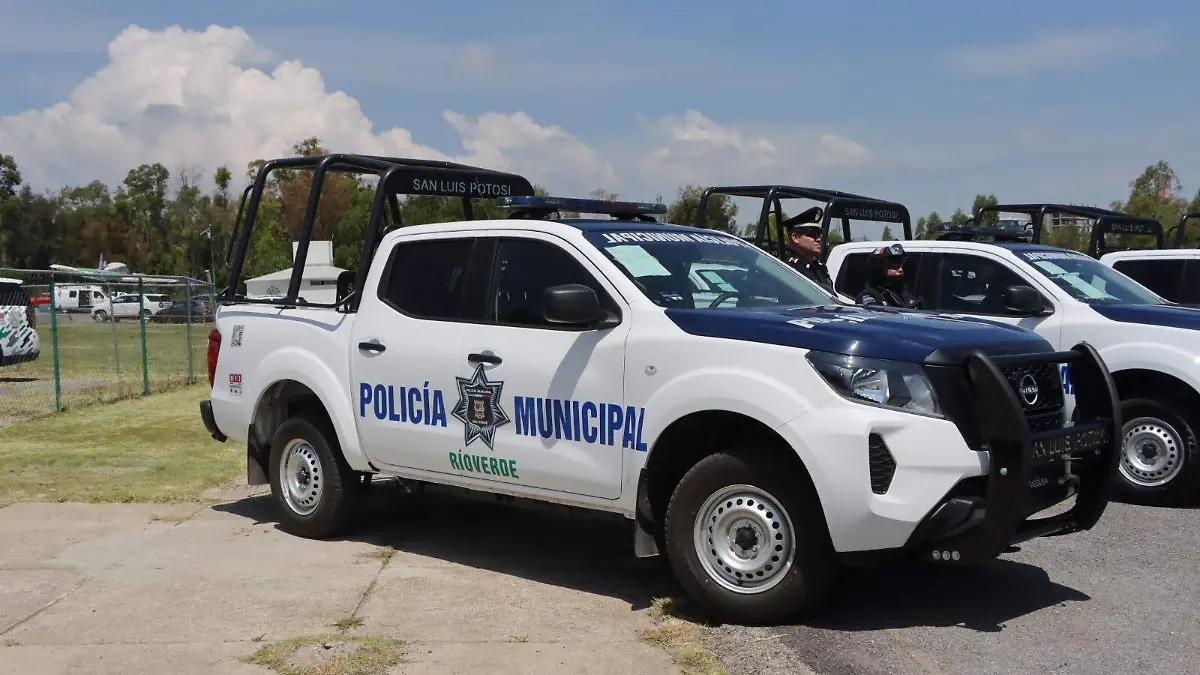 WhatsApp Image 2026-01-19 at 13.52.19