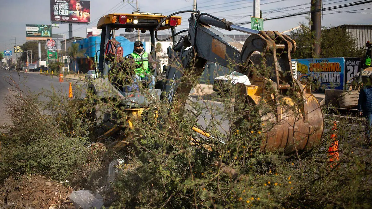 WhatsApp Image 2026-01-19 at 11.20.59