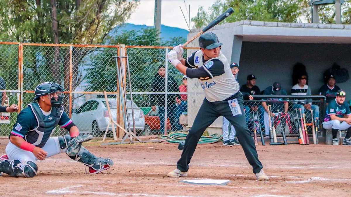 WhatsApp Image 2026-01-19 at 15.25.24