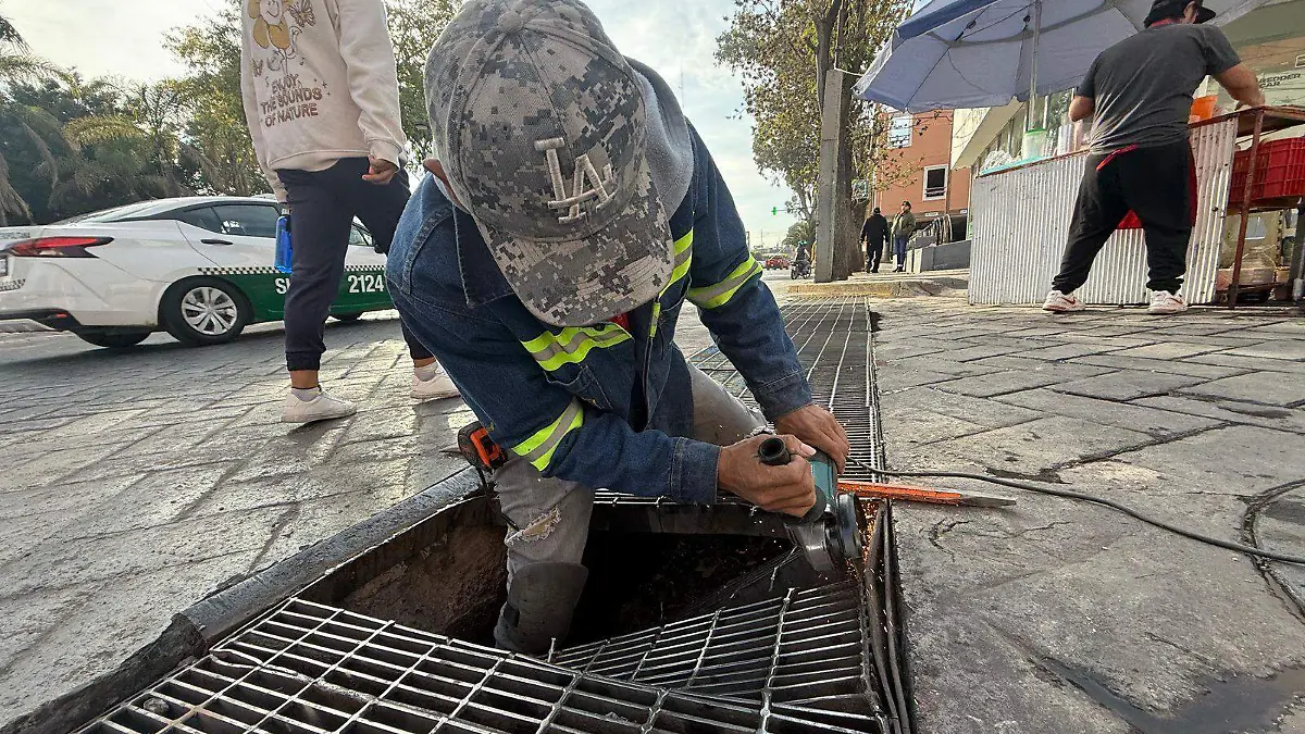 WhatsApp Image 2026-01-19 at 1.59.56 PM