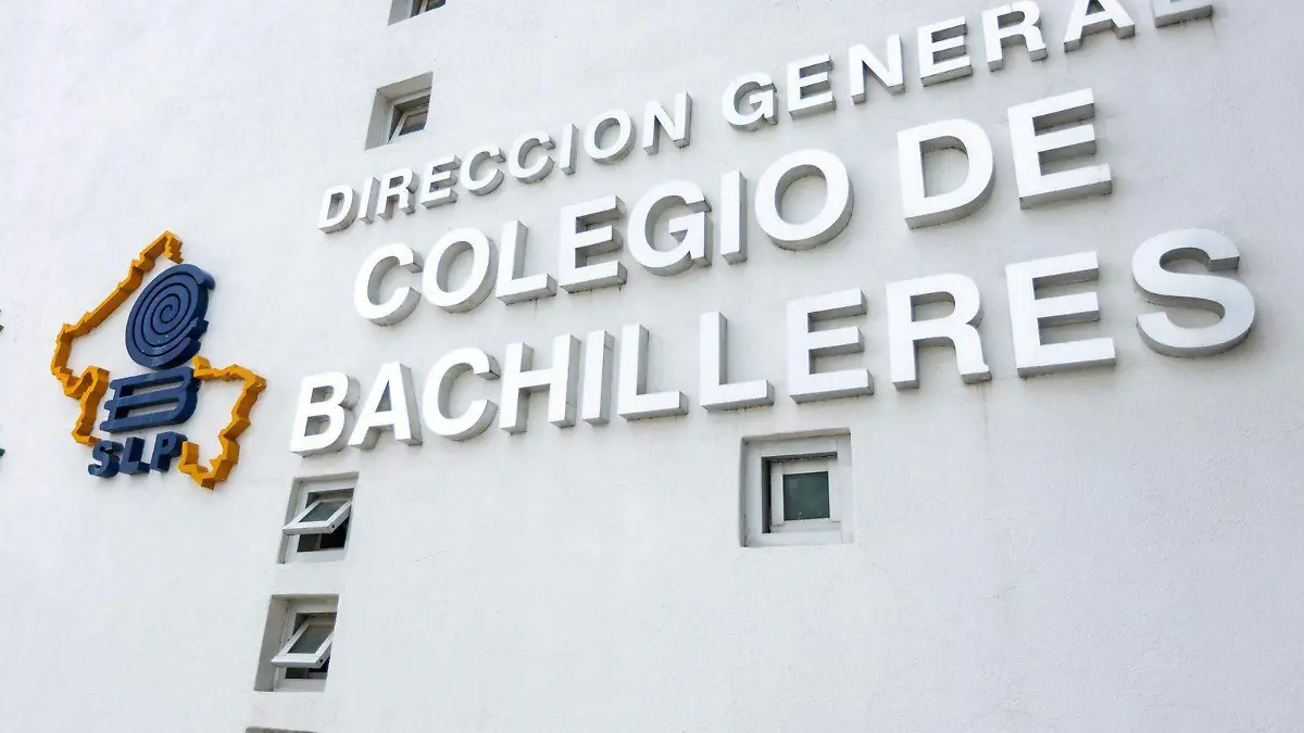 WhatsApp Image 2026-01-19 at 2.54.53 PM