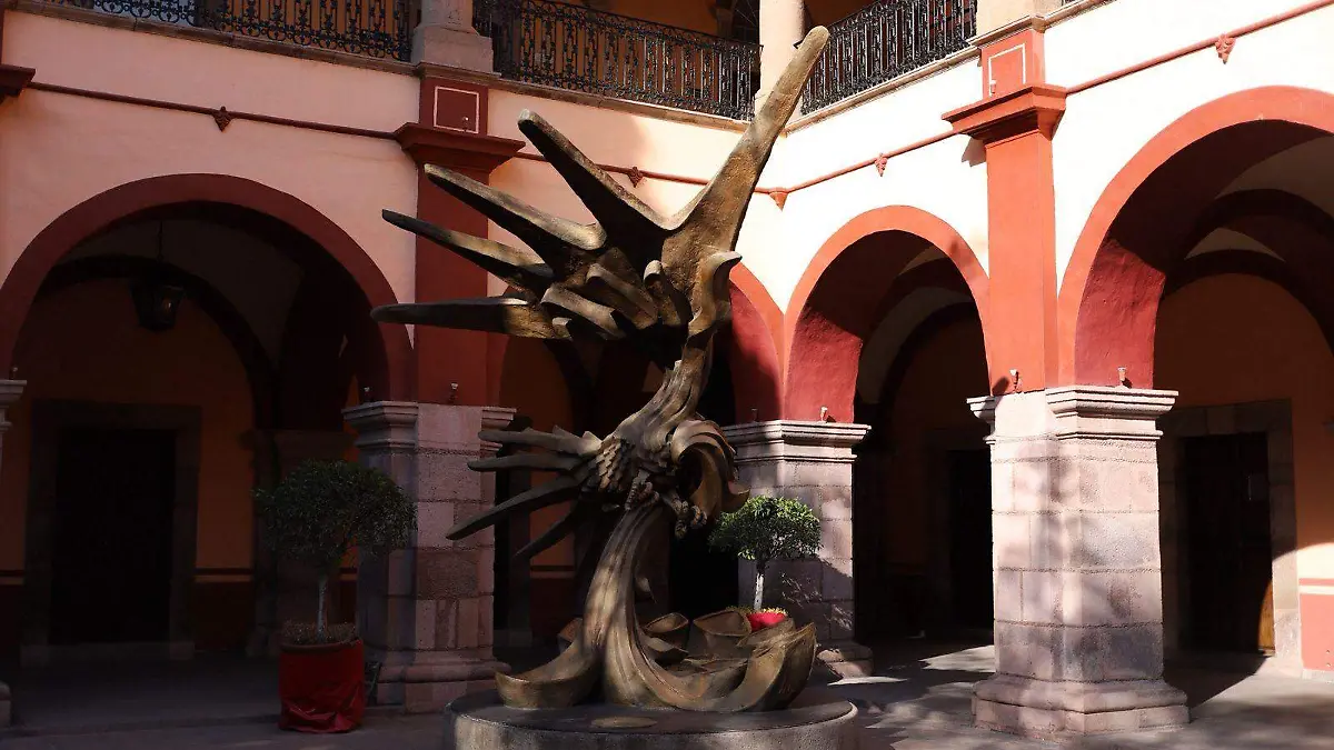 WhatsApp Image 2026-01-19 at 4.02.12 PM