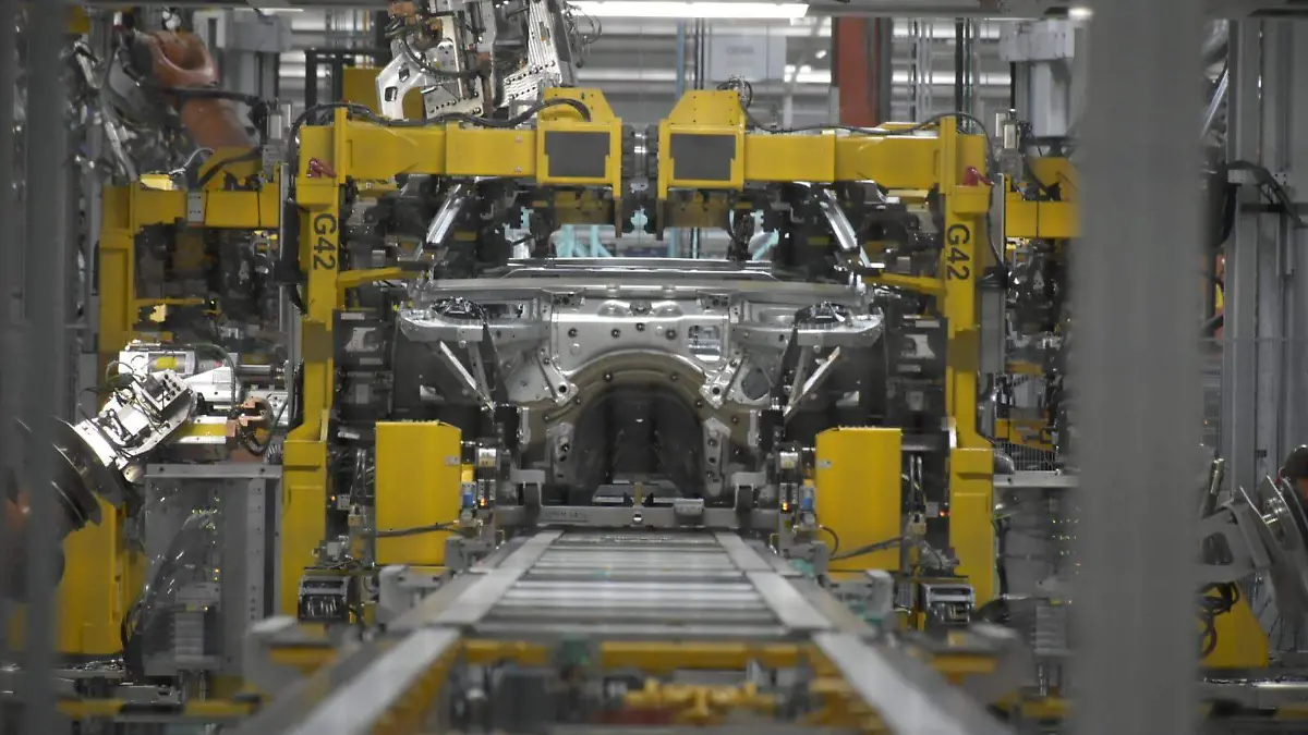 WhatsApp Image 2026-01-20 at 15.03.59