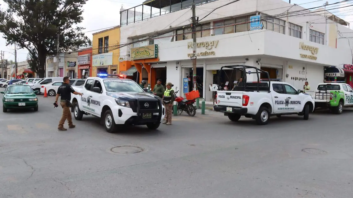 WhatsApp Image 2026-01-20 at 14.56.51