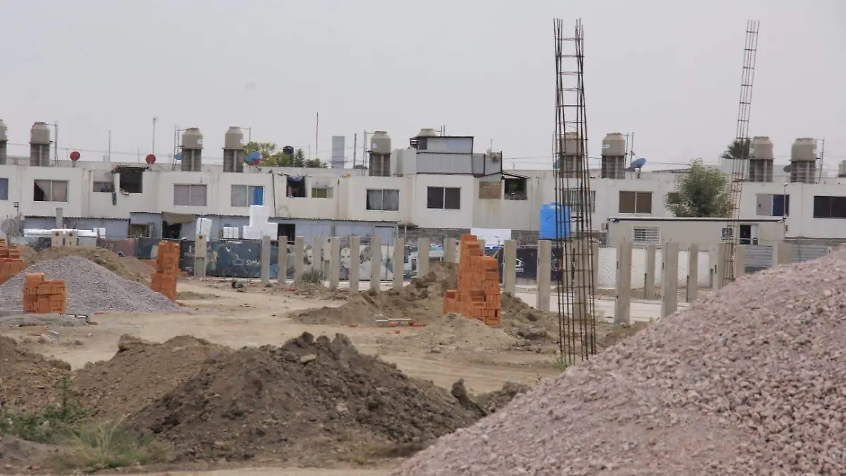 WhatsApp Image 2026-01-20 at 14.41.29