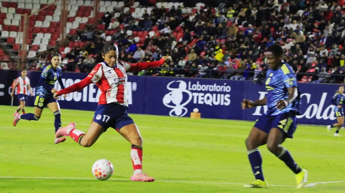 WhatsApp Image 2026-01-21 at 12.53.19