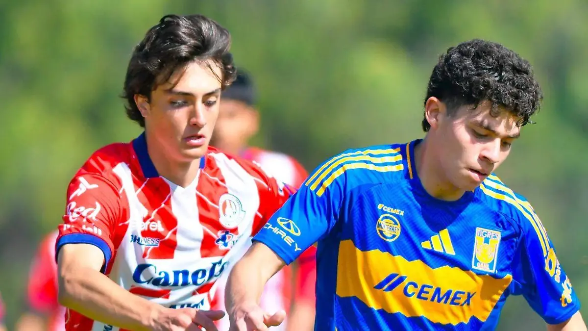 WhatsApp Image 2026-01-22 at 12.23.39