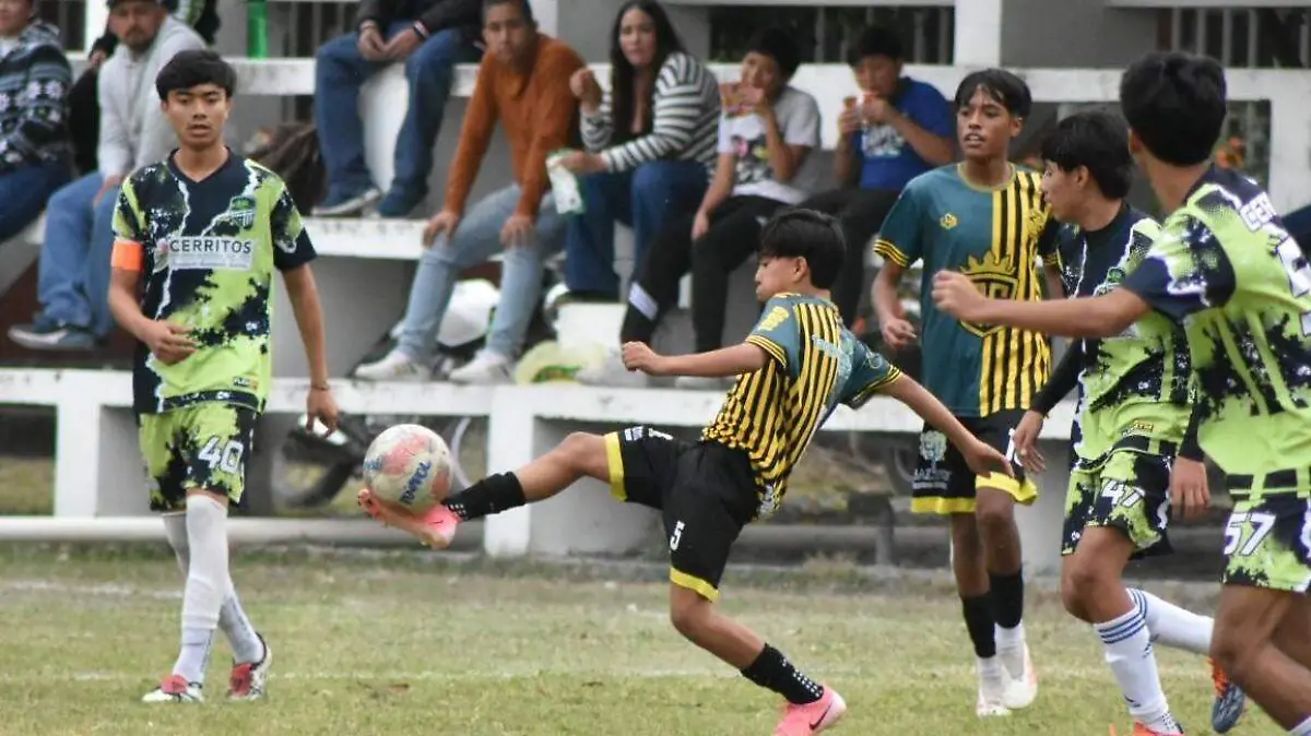 WhatsApp Image 2026-01-22 at 12.55.13