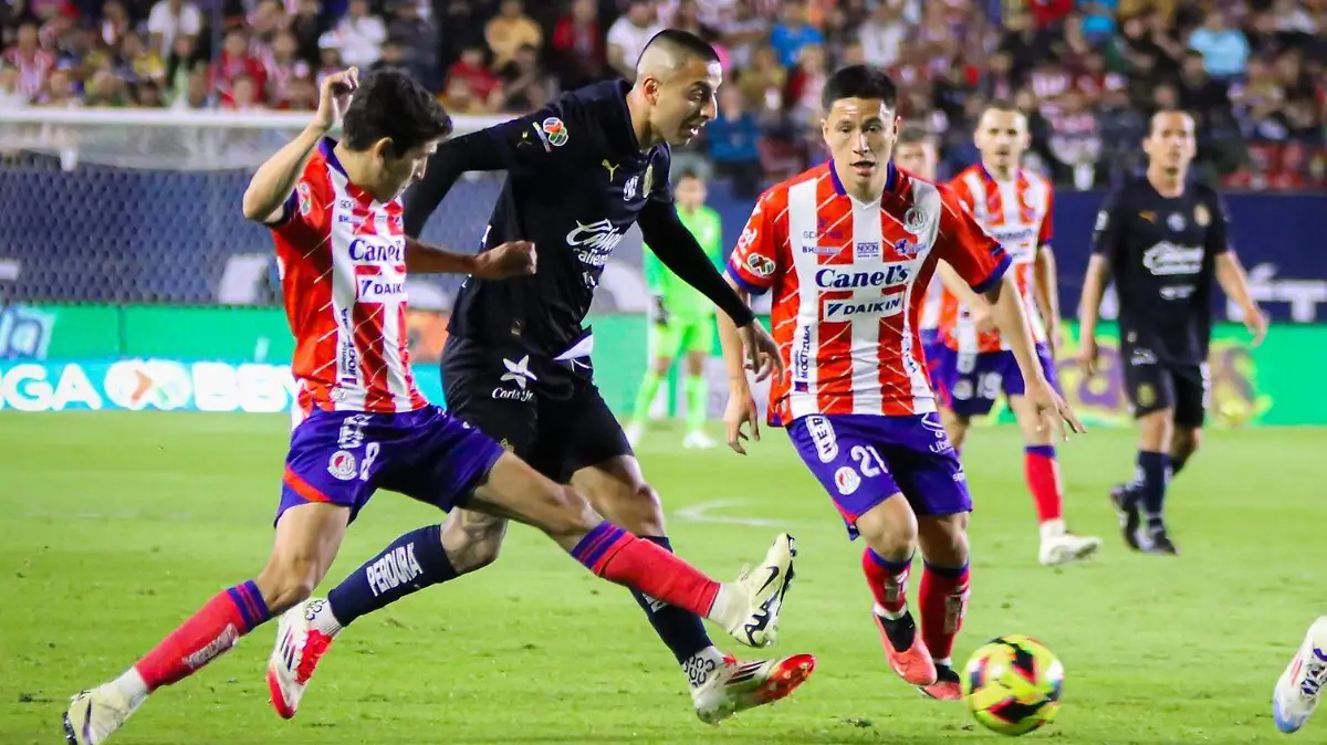 WhatsApp Image 2026-01-22 at 14.43.38