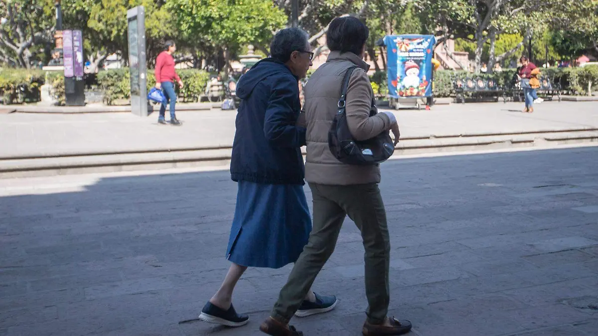 Reforma para proteger a adultos mayores de maltratos