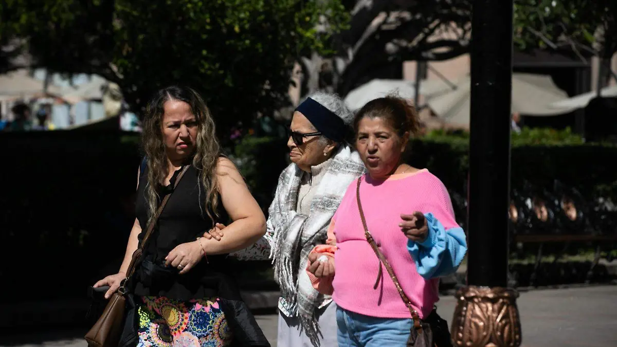 Alerta de Violencia de Género