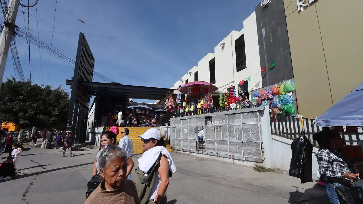 WhatsApp Image 2026-01-24 at 13.50.09