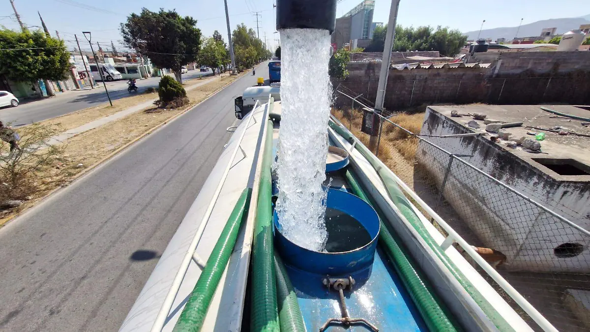 WhatsApp Image 2026-01-24 at 15.27.47