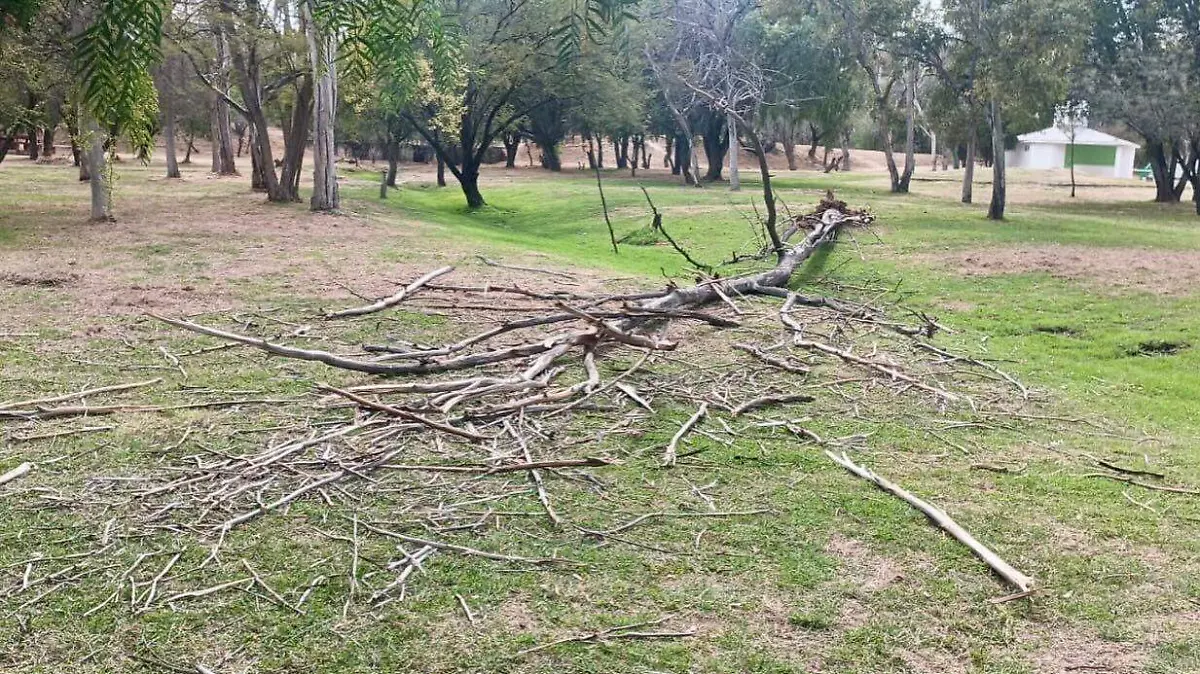 Cierran los parques Tangamanga por fuertes vientos