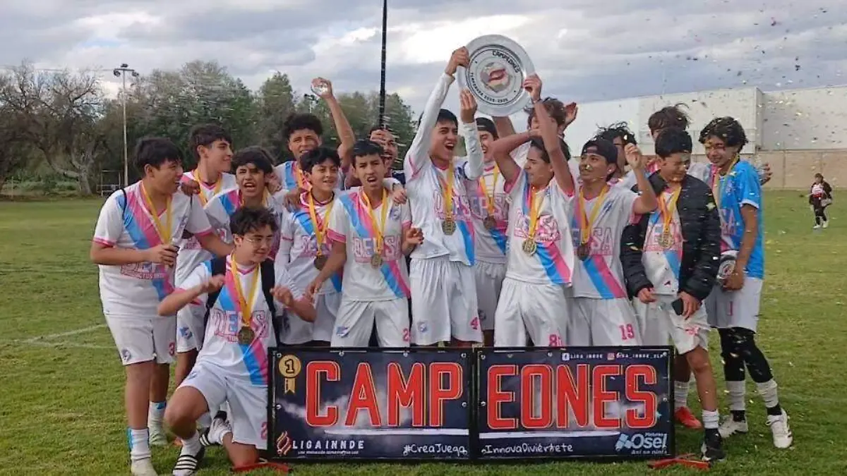 WhatsApp Image 2026-01-25 at 2.00.24 PM