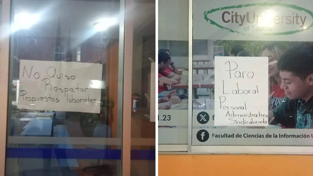 WhatsApp Image 2026-01-26 at 13.28.25