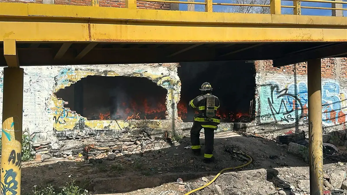 WhatsApp Image 2026-01-26 at 5.38.16 PM