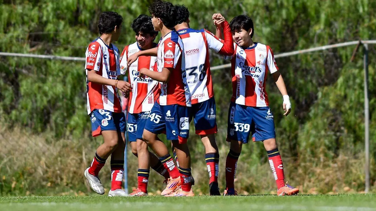 WhatsApp Image 2026-01-26 at 4.05.54 PM