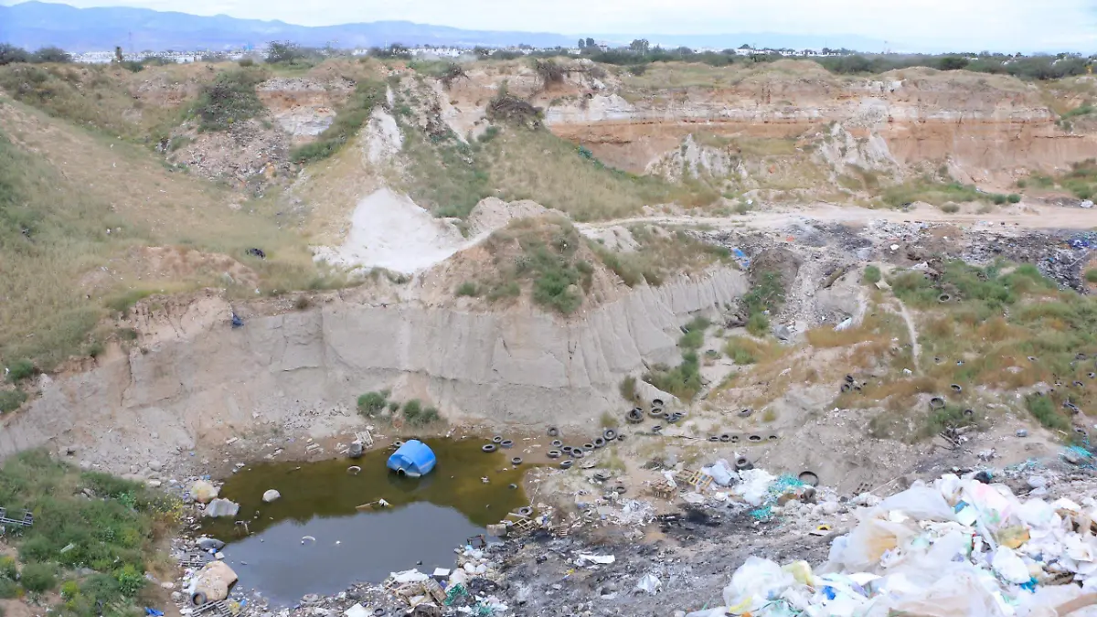 WhatsApp Image 2026-01-27 at 14.18.04 (1)