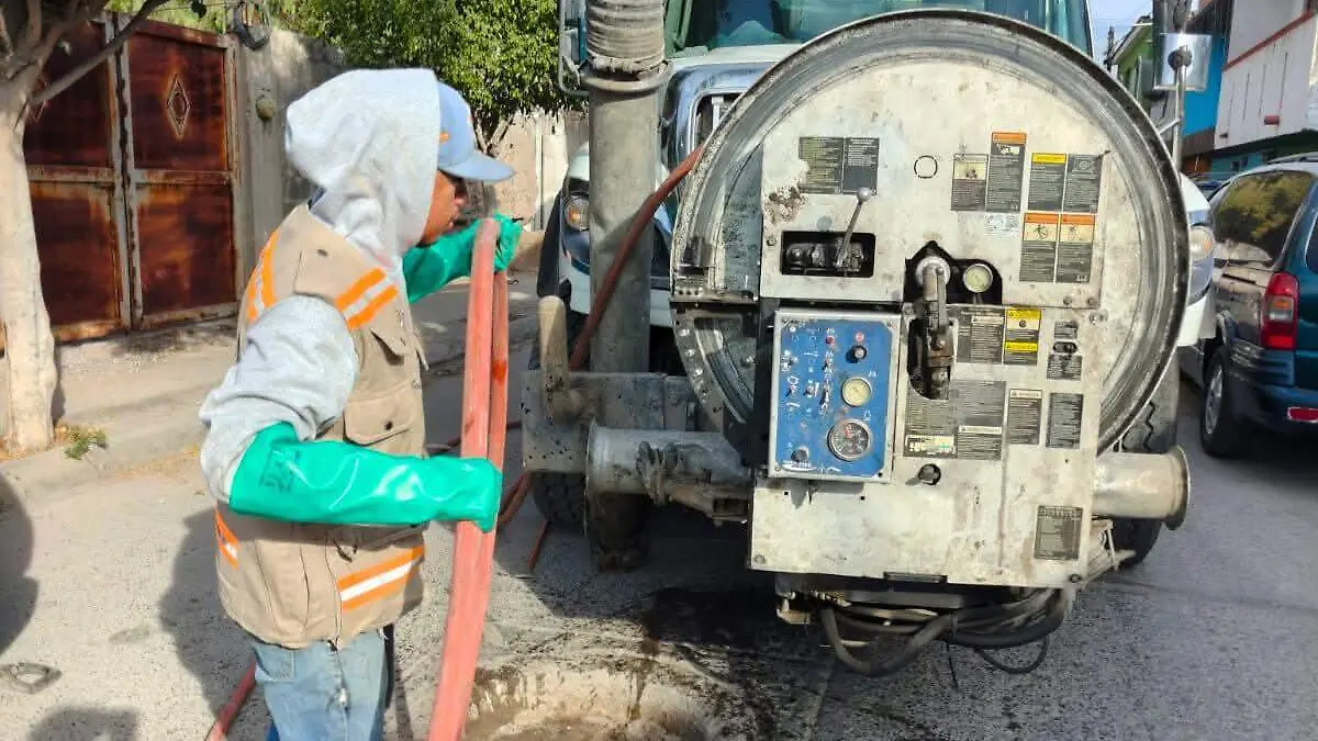 WhatsApp Image 2026-01-27 at 14.17.32