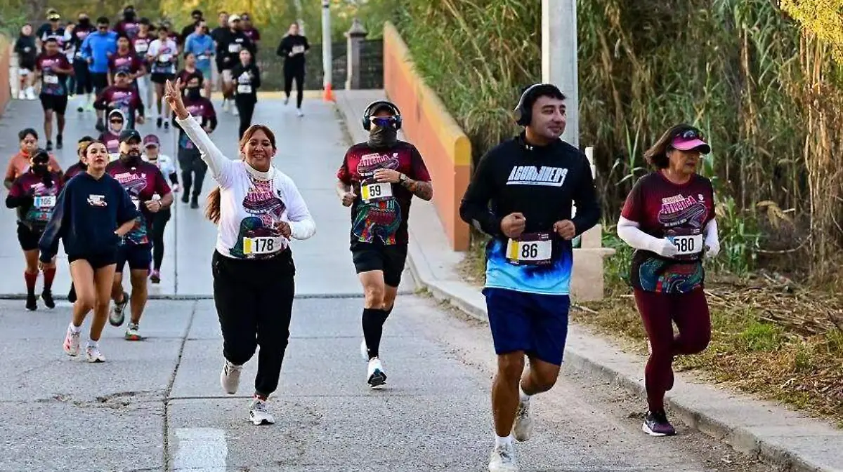 WhatsApp Image 2026-01-28 at 12.28.36