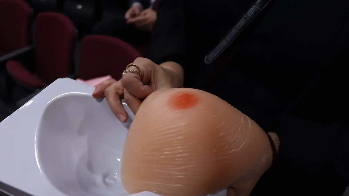 Prótesis mamarias para mujeres con cáncer de mama (1)