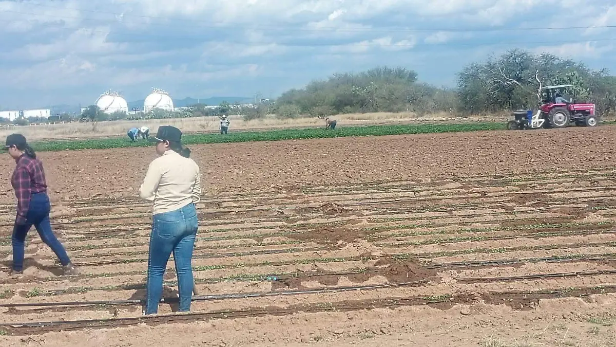 programa “Mujeres al Tractor”  