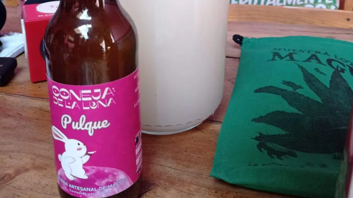 Día Nacional del Pulque en SLP (1)