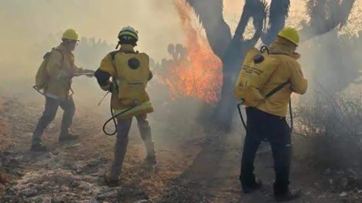 Incendio Forestal en Zaragoza