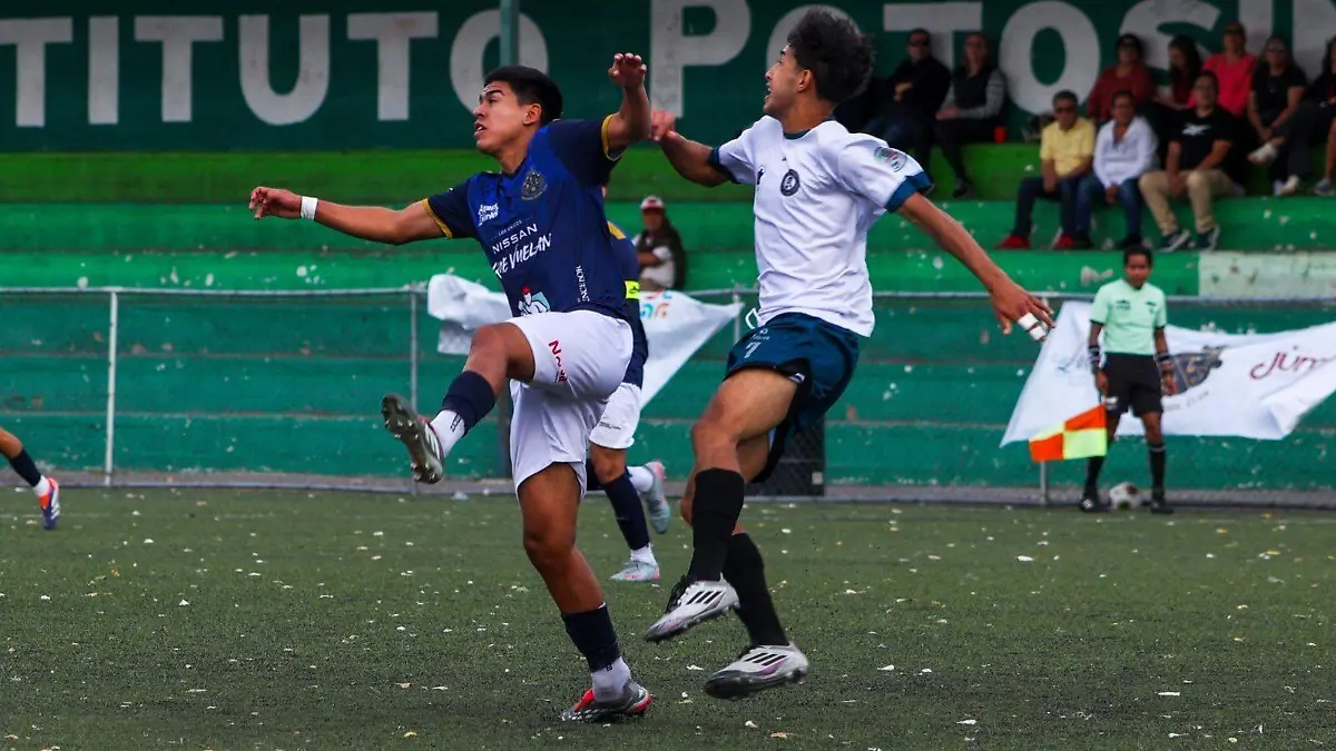 WhatsApp Image 2026-01-30 at 13.35.10