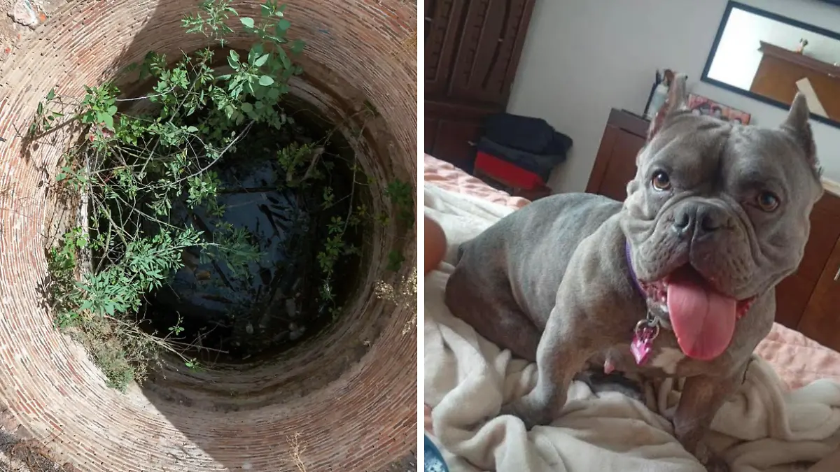 Portada página web  (9)