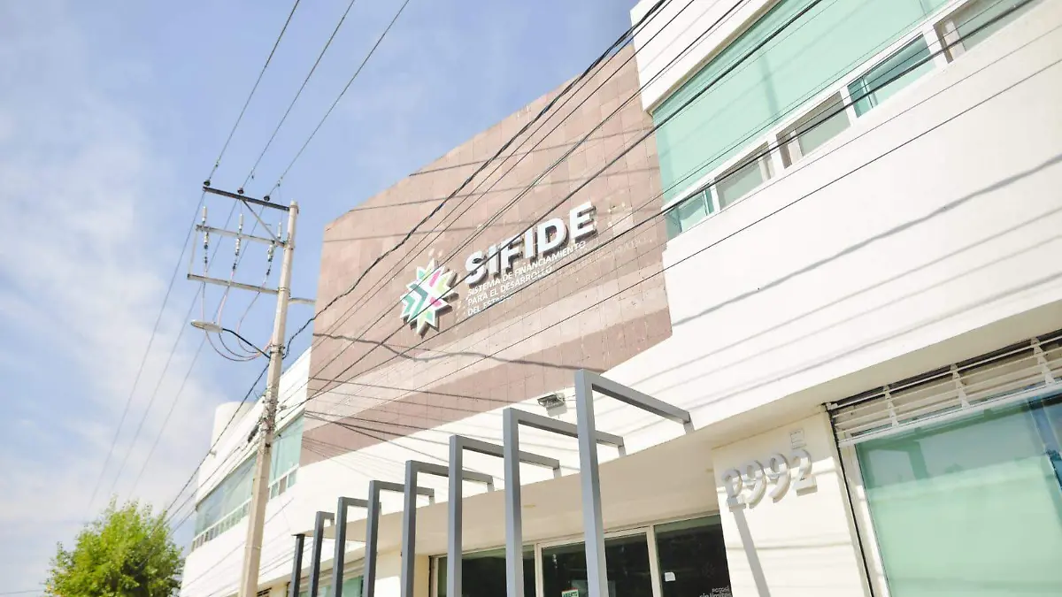 WhatsApp Image 2026-01-31 at 14.00.37