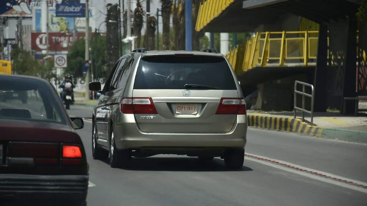 WhatsApp Image 2026-01-31 at 14.02.42