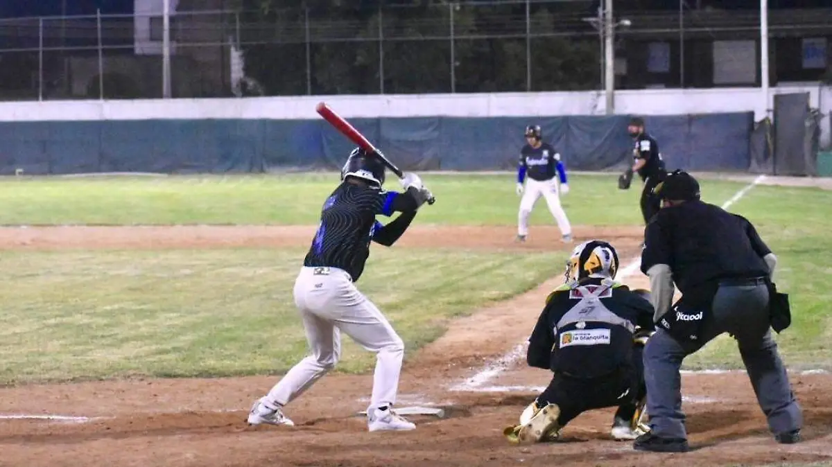 WhatsApp Image 2026-02-02 at 13.45.11