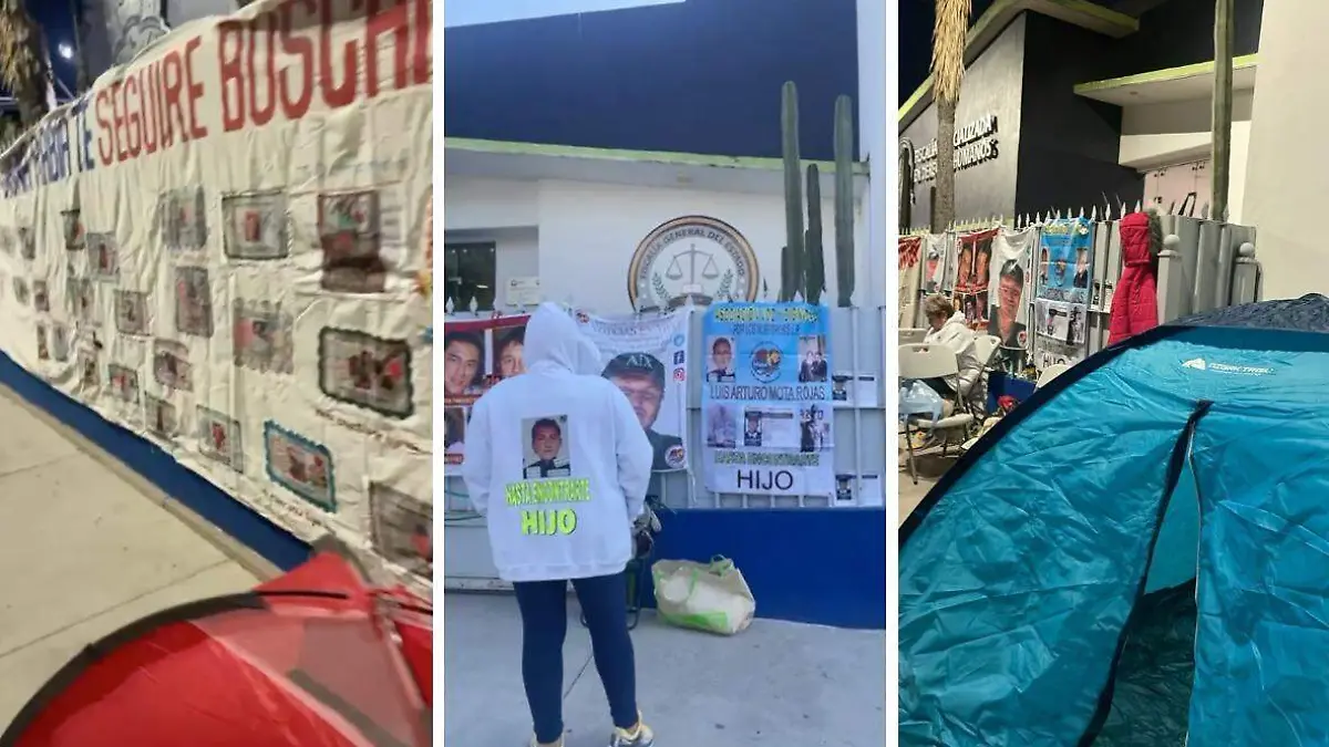 WhatsApp Image 2026-02-02 at 20.52.01