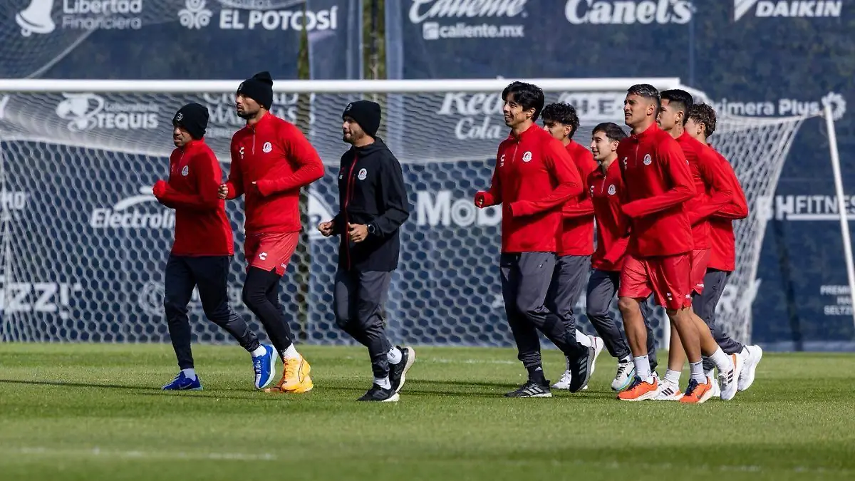 WhatsApp Image 2026-02-02 at 15.44.49