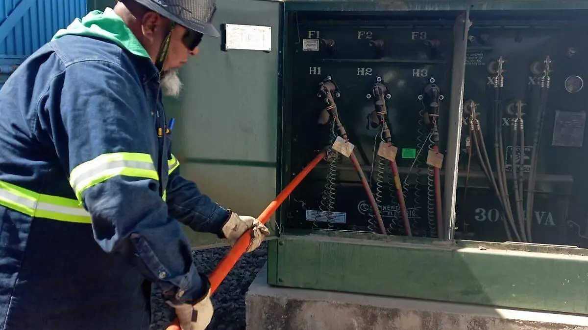 WhatsApp Image 2026-02-03 at 13.44.53