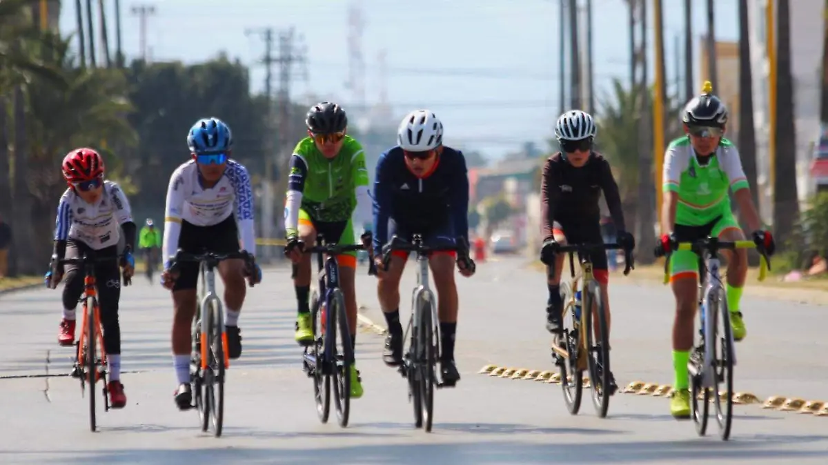 WhatsApp Image 2026-02-03 at 15.00.59